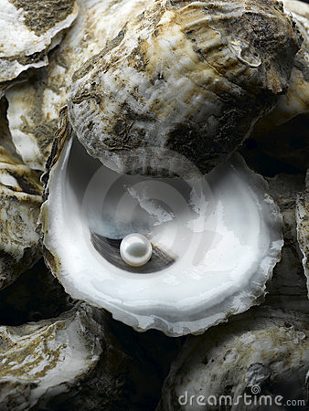 An Ingrained Bond: the Story of the Pearl and the Oyster – Timeless Pearl